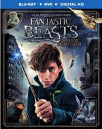 Fantastic Beasts and Where to Find Them (Les animaux fantastiques)